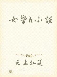 女警h小说封面