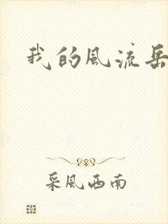 我的风流岳每封面