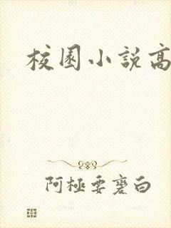 校园小说高h封面
