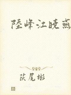 陆峰江晓燕封面