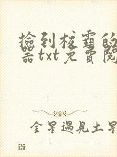 捡到校霸的遥控器txt免费阅读