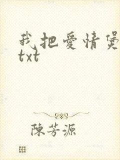 我把爱情煲成汤txt