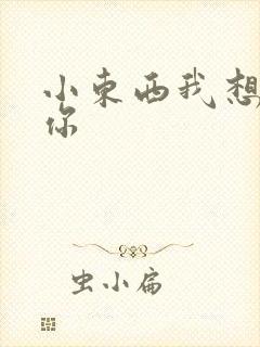 小东西我想弄坏你