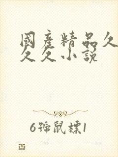 国产精品久久久久久小说封面