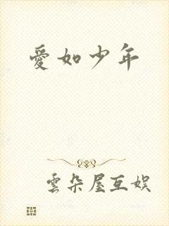爱如少年封面
