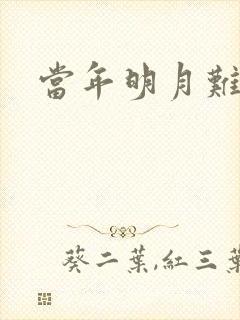 当年明月难寻封面