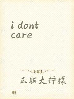 i dont care封面