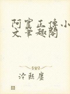 阿宾正传小说全文笔趣阁