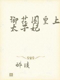 御花园皇上撞着太子妃