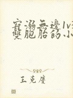 宠溺无边1v3双胞胎的小说封面