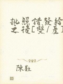 批照错发给情敌之后[双/产]封面