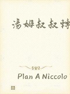 汤姆叔叔转接口封面