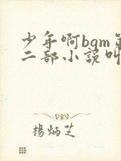少年啊bgm第二部小说叫什么