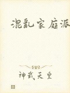 混乱家庭派对封面