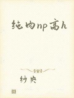 纯肉np高h