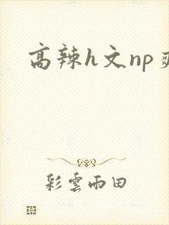 高辣h文np爽