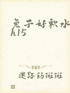兔子好软水好多h15封面