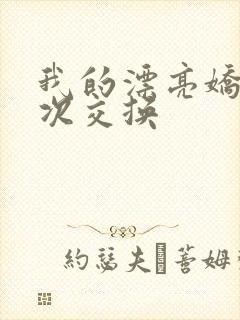 我的漂亮娇妻初次交换