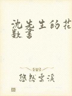 沈先生的花式调数书