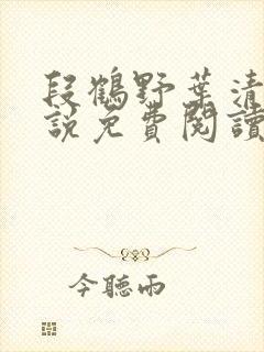 段鹤野叶清璃小说免费阅读最新章节封面