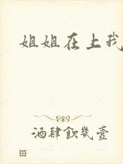 姐姐在上我在下