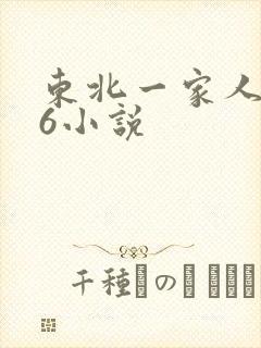 东北一家人1一6小说封面