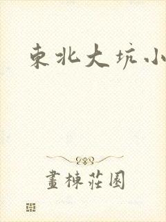 东北大坑小说封面