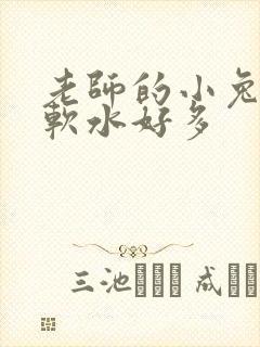 老师的小兔子好软水好多封面