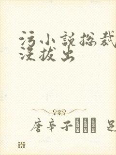 污小说总裁整夜没拔出