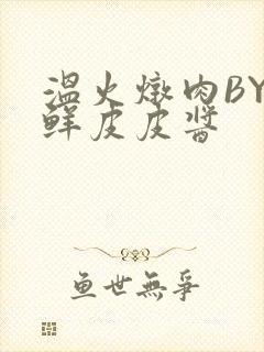 温火炖肉BY海鲜皮皮酱