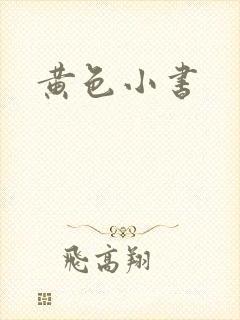黄色小书