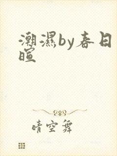 潮湿by春日负暄封面
