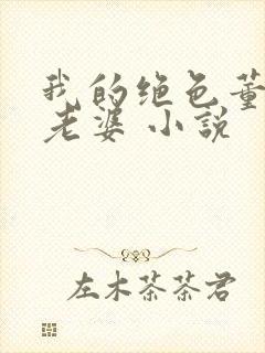 我的绝色董事长老婆 小说