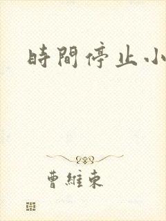 时间停止小说