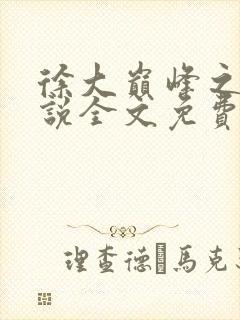 徐大巅峰之路小说全文免费阅读