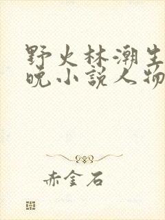 野火林潮生林晚晚小说人物野火