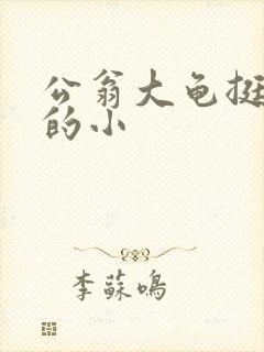 公翁大龟挺进我的小封面