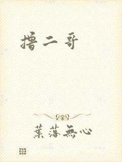 撸二哥
