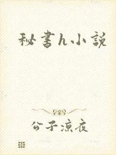 秘书h小说