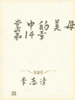 掌中的美母版主第14章