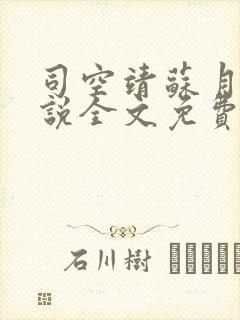 司空靖苏月汐小说全文免费阅读