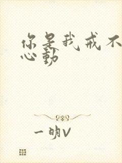 你是我戒不掉的心动