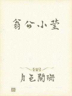 翁公小莹封面