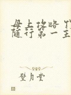 母上攻略 竹影随行第一主板封面