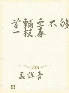 首辅要不够po一枝春