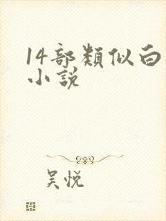 14部类似白洁小说封面