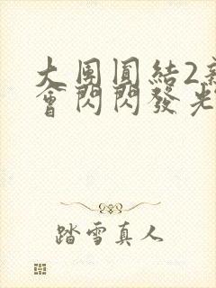 大团圆结2亲情会闪闪发光亲情会在线观看