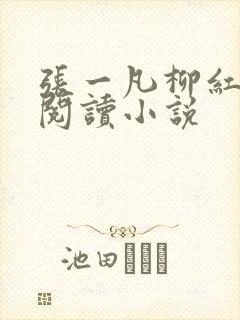 张一凡柳红免费阅读小说