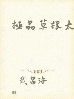 极品草根太子