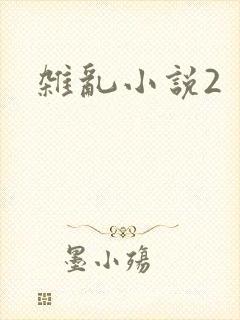 杂乱小说2